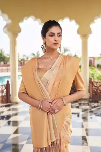Beige Woven Gold Zari Banarasi Soft Georgette Saree