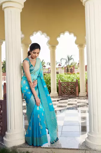 Aqua Blue Feather Woven Gold Zari Banarasi Soft Georgette Saree