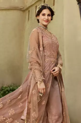 Dusty pink zari embroidery sequins work net anarkali - full stitched