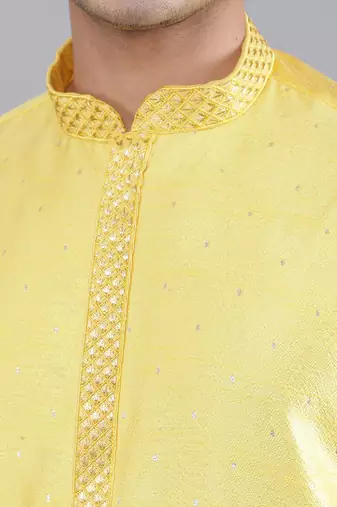 shiny thread sequinned  self design kurta set