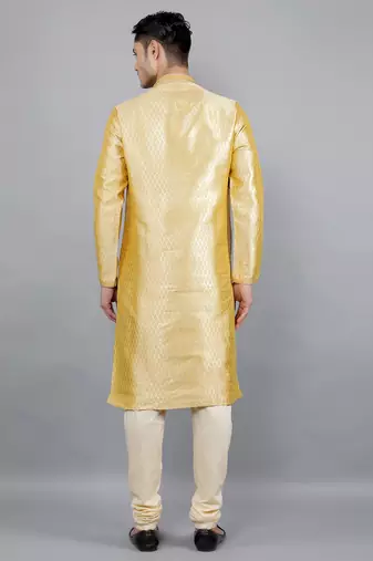  shiny thread sequinned  self design kurta set