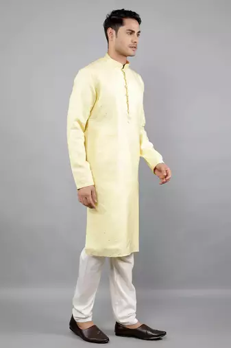  shiny thread sequinned  self design kurta set