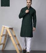 Green rayon viscose sequin embroidered green kurta