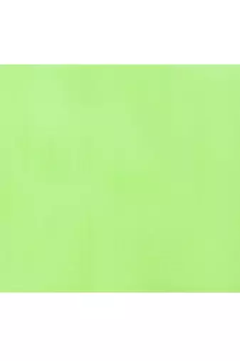 green cotton handloom jamdani saree with blouse