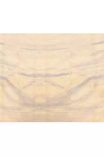 gold dual tone organic tissue saree with blouse piece