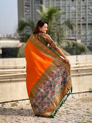 Orange pure tissue zari woven patola saree with contrast weaves 2