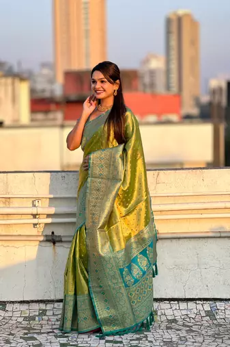 Green pure tissue zari woven saree with contrast weaves