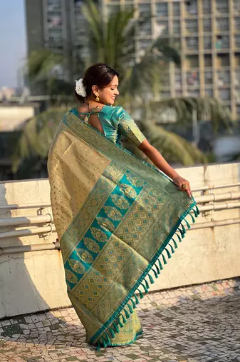 Chickoo pure tissue zari woven saree with contrast weaves