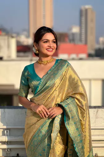 Chickoo pure tissue zari woven saree with contrast weaves