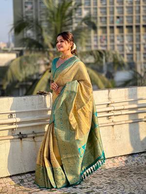 Chickoo pure tissue zari woven saree with contrast weaves 1