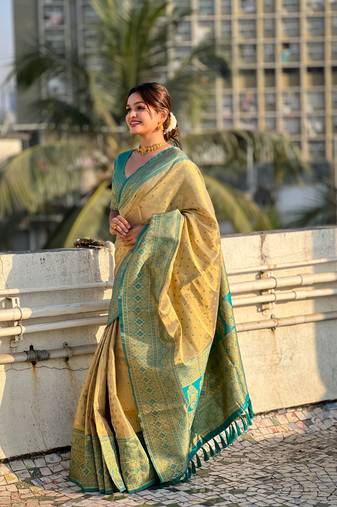 Chickoo pure tissue zari woven saree with contrast weaves