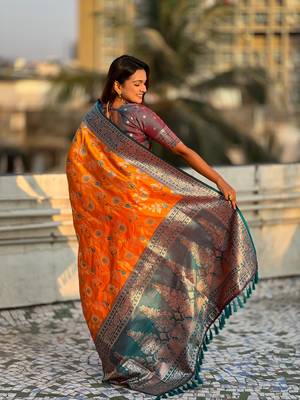 Orange banarasi contrast jaal soft silk blend zari woven saree 2