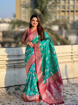 Sky blue banarasi contrast jaal soft silk blend zari woven saree 1