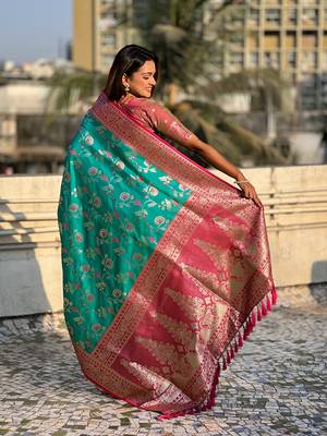 Sky blue banarasi contrast jaal soft silk blend zari woven saree 2