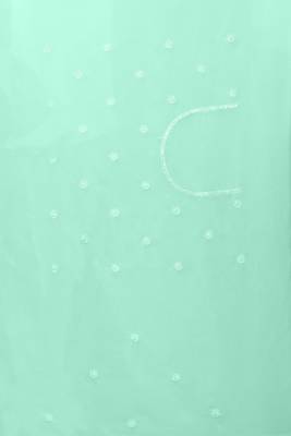 Sea Green Sequin embroidered Georgette Saree With Unstitch Blouse Piece 5