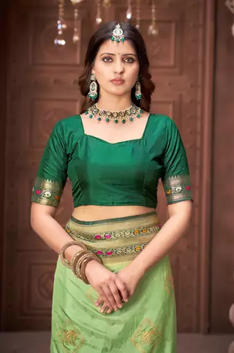 Pista zari woven pashmina silk blend designer green border heavy saree with fancy blouse