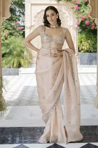 Blush pink floral printed pleated saree