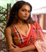 Multicolor Gamcha Designer Blouse