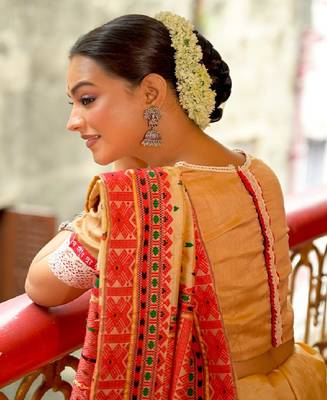 Beige Dola Silk Designer Blouse 3