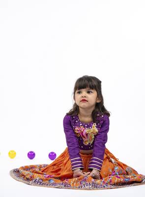 Elephant and peacock hand work purple full sleeve top with kalamkari embroidered orange lehenga 5
