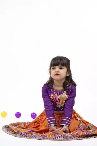 Elephant and peacock hand work purple full sleeve top with kalamkari embroidered orange lehenga