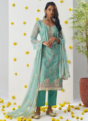 Sky blue organza embroidered salwar suuit 3