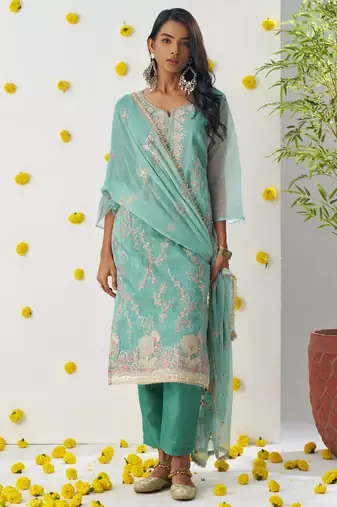 Sky blue organza embroidered salwar suuit