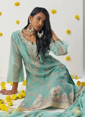 Sky blue organza embroidered salwar suuit 5