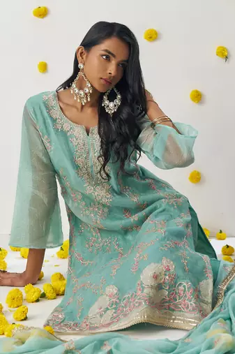 Sky blue organza embroidered salwar suuit