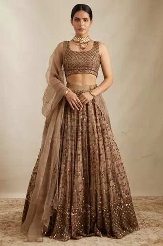 Graceful Soft Net Sequins Zari Embroidery Work Brown Lehenga Choli 