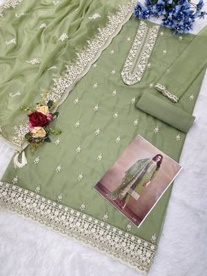 Olive heavy orgenza with embroidery straight salwar suit 2