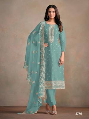 Light blue heavy orgenza with embroidery straight salwar suit 1