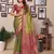 Green banarasi tissue silk woven patola saree