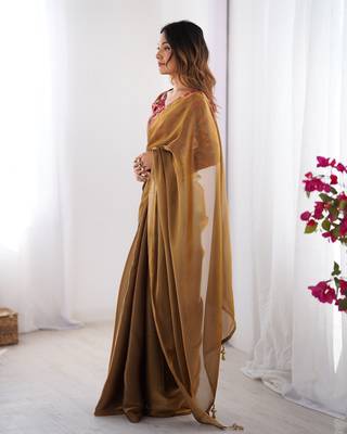 Brown twill net printed swarovski work saree 5
