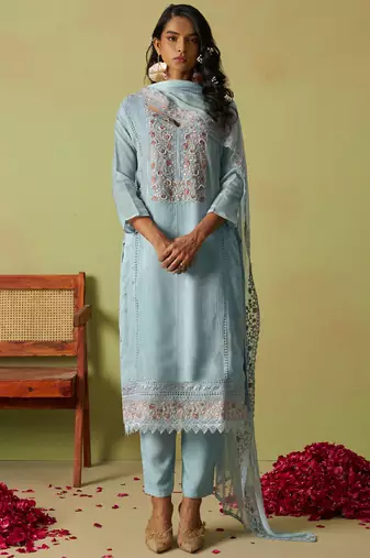 Sky blue pure organza embroidered salwar suit