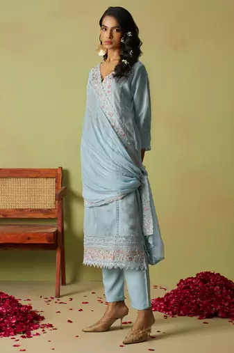 Sky blue pure organza embroidered salwar suit