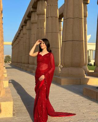 Maroon Georgette Sequin saree With Blouse 1