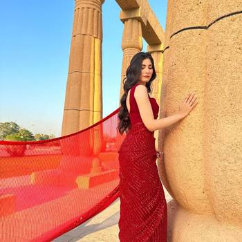 Maroon Georgette Sequin saree With Blouse 2