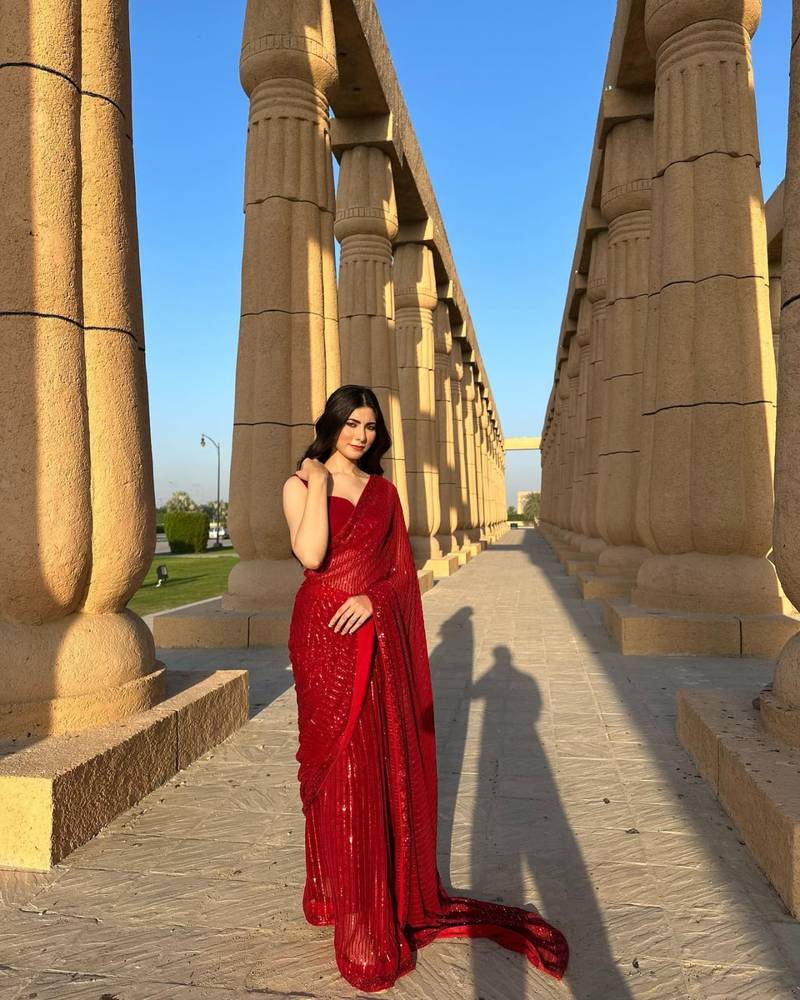 Maroon Georgette Sequin saree With Blouse