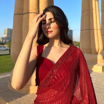 Maroon Georgette Sequin saree With Blouse 4