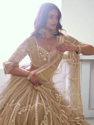 beige thread work net lehenga set choli with dupatta with dupatta 3
