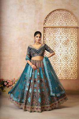 Blue Aari embroidered Banarasi silk Lehenga with unstiched blouse 1