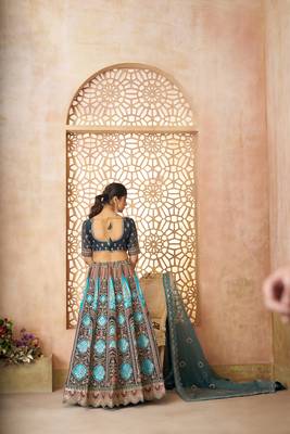 Blue Aari embroidered Banarasi silk Lehenga with unstiched blouse 3