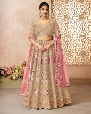 Chiku Aari embroidered Banarasi silk Lehenga with unstiched blouse 1