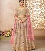 Chiku Aari embroidered Banarasi silk Lehenga with unstiched blouse