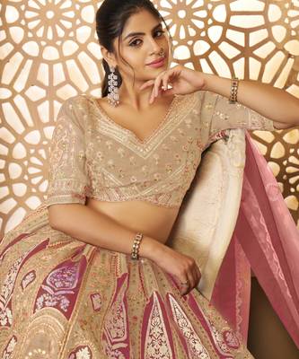 Chiku Aari embroidered Banarasi silk Lehenga with unstiched blouse 2