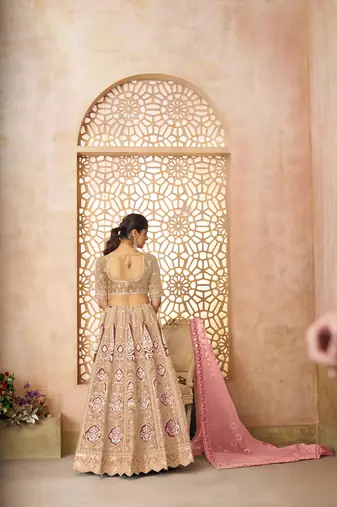 Chiku Aari embroidered Banarasi silk Lehenga with unstiched blouse