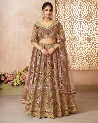 Coffee Aari embroidered Banarasi silk Lehenga with unstiched blouse 1