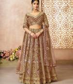 Coffee Aari embroidered Banarasi silk Lehenga with unstiched blouse