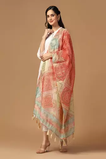 Digital Ethnic Motif Print Chanderi Cotton Zari Embroadery Work Regular Dupatta Wear on Kurti For Women and Girls